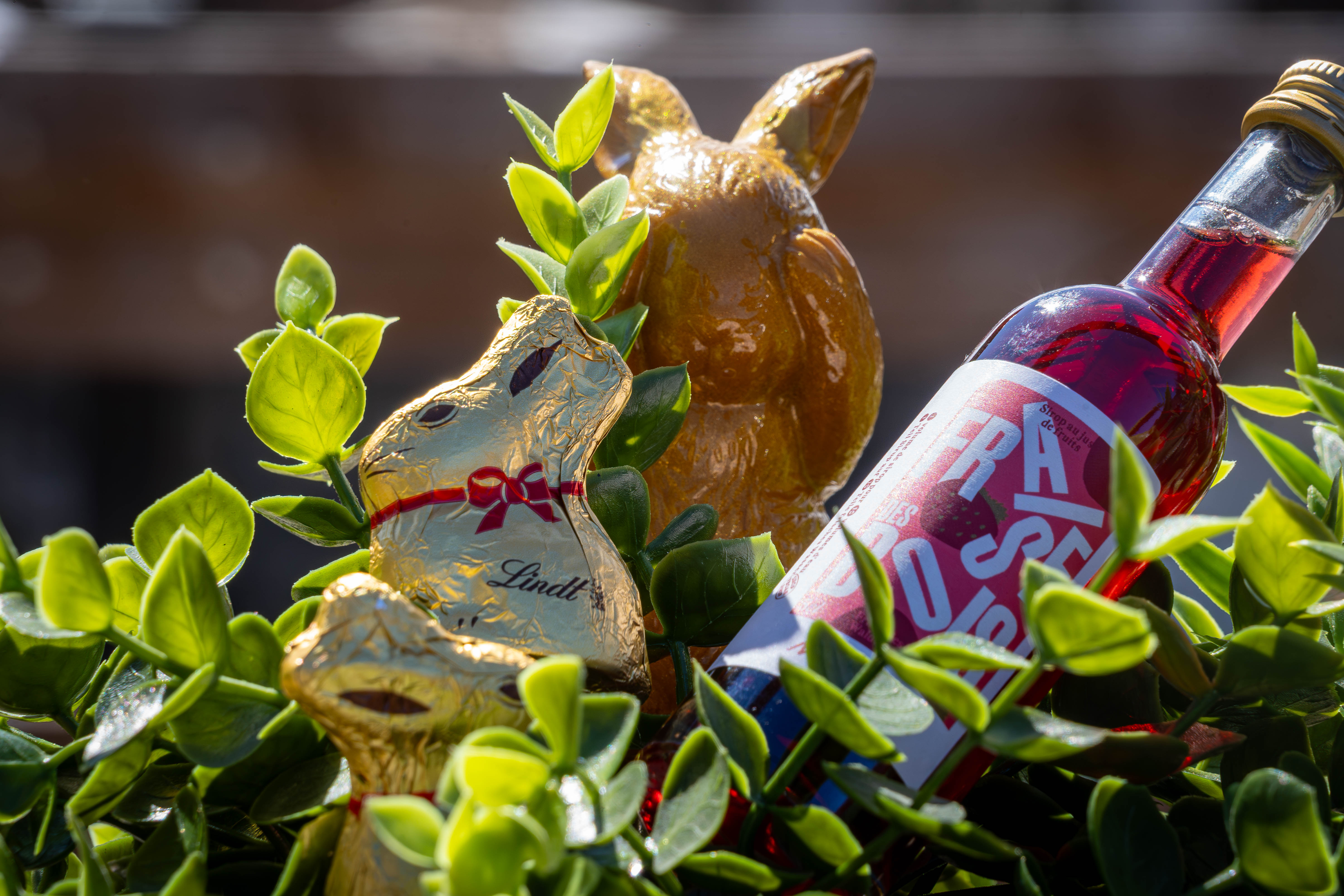 Saastal Osternestsuche