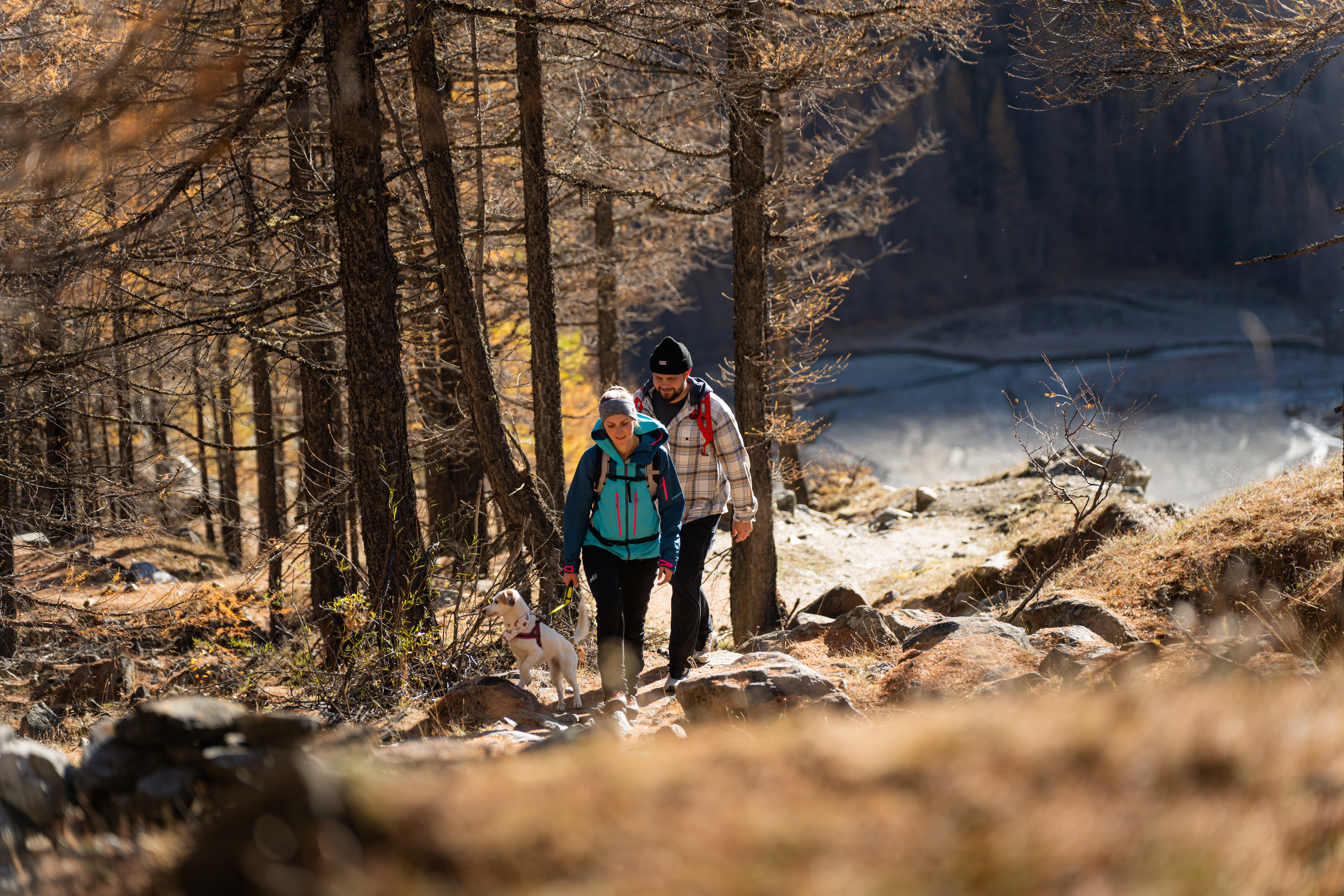 Wandern-Herbst-Saas-Fee-Staffelwald-2024__18___1_.jpg