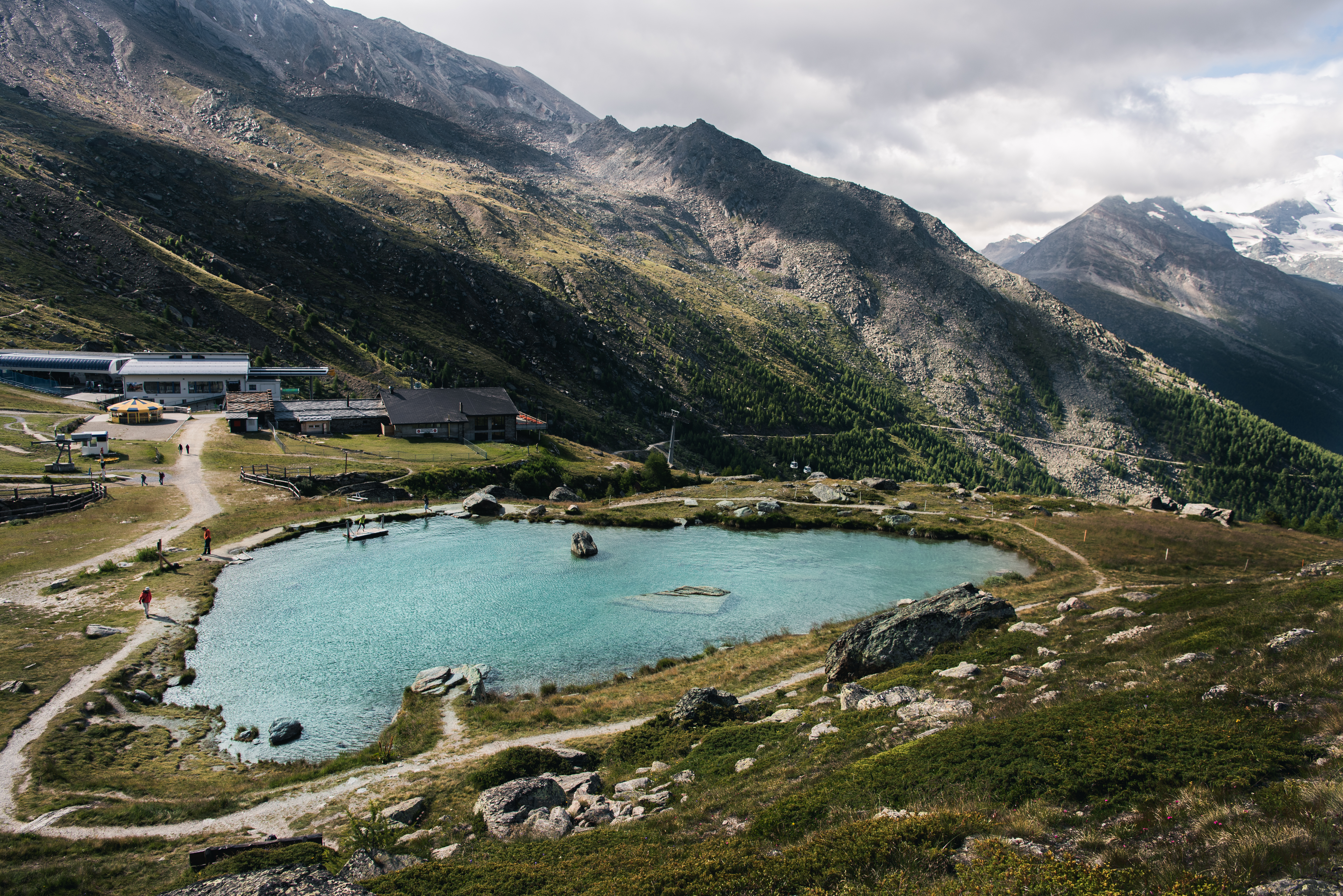 Bergmomänta im Sommer Bergmomänta im Sommer