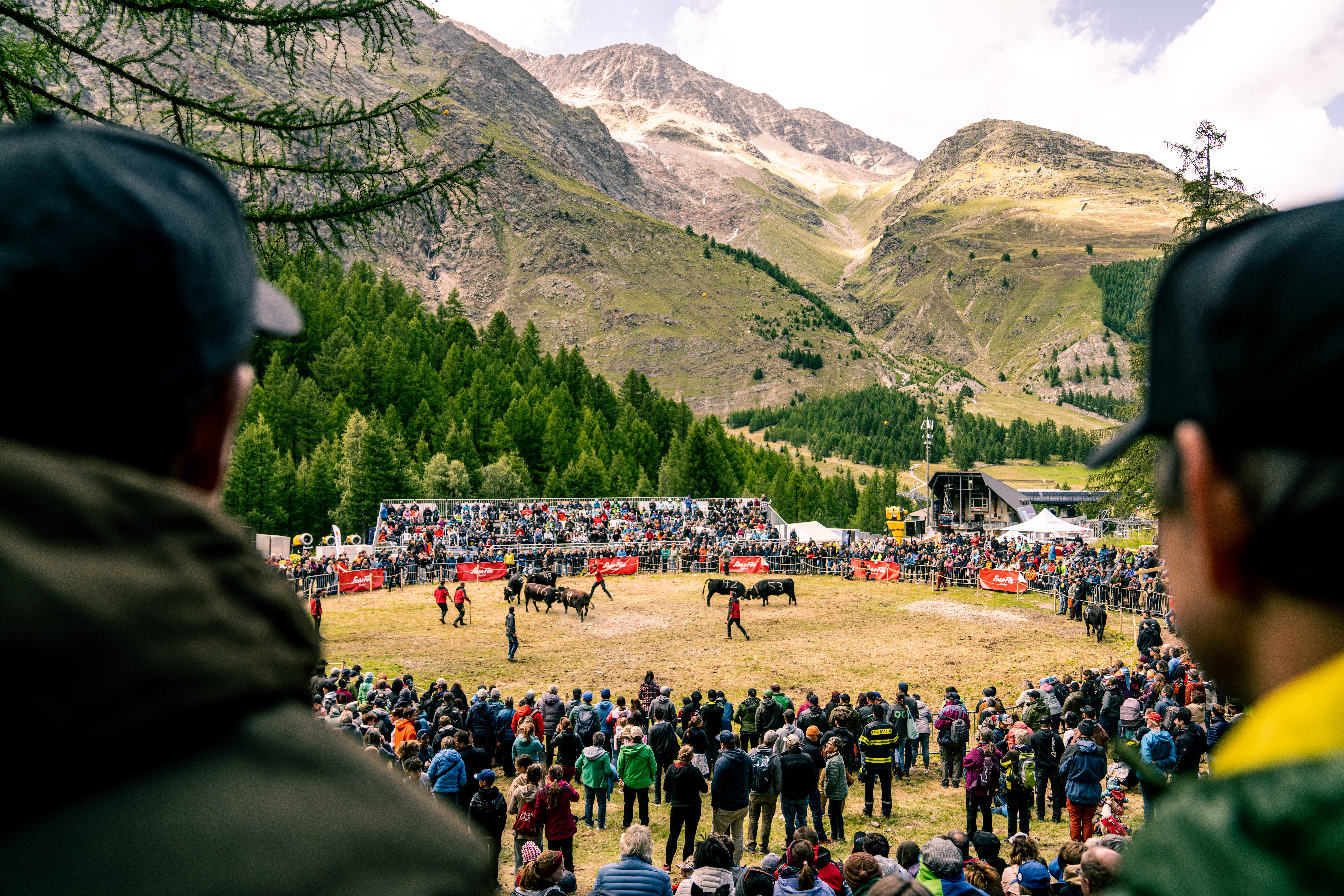 Découvrir la tradition