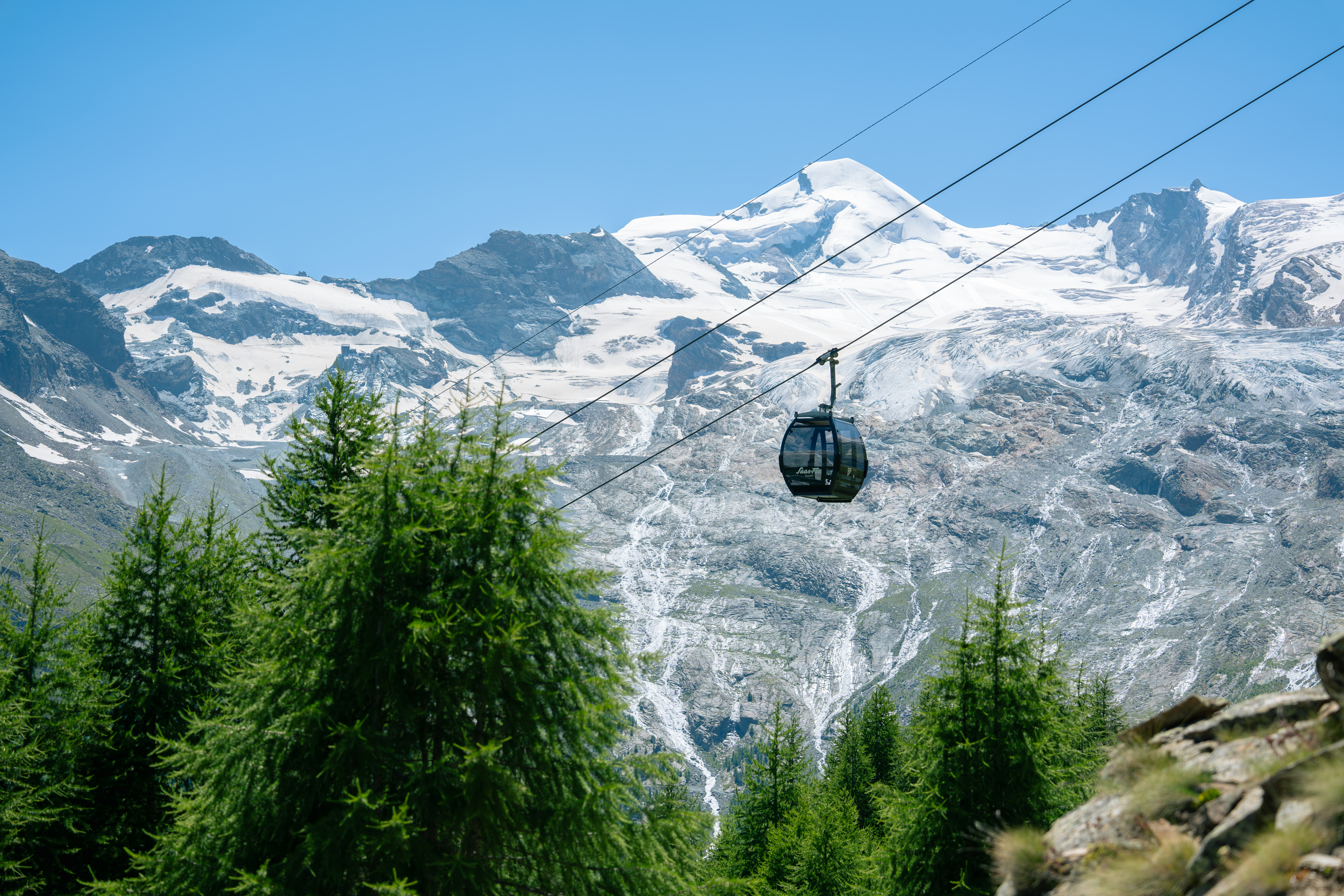 Établissements ouverts au printemps